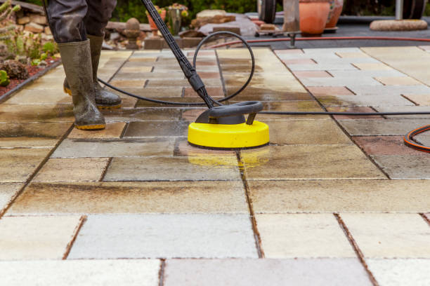 Best Factory Floor Cleaning  in Ripley, TN