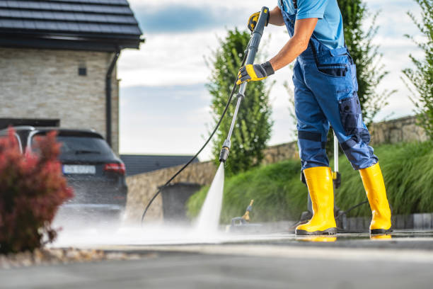 Best Fence Cleaning  in Ripley, TN